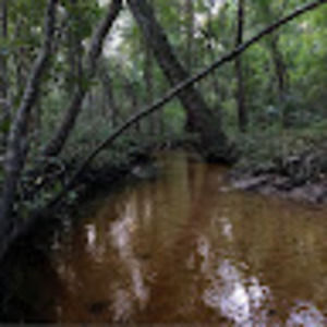 Meet your Posher, Jami